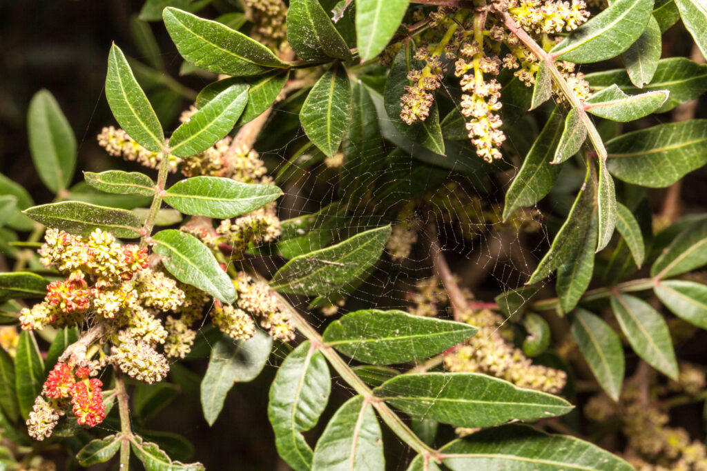 3_home_carousel_MM_20150424_Cesine_057-1024x683