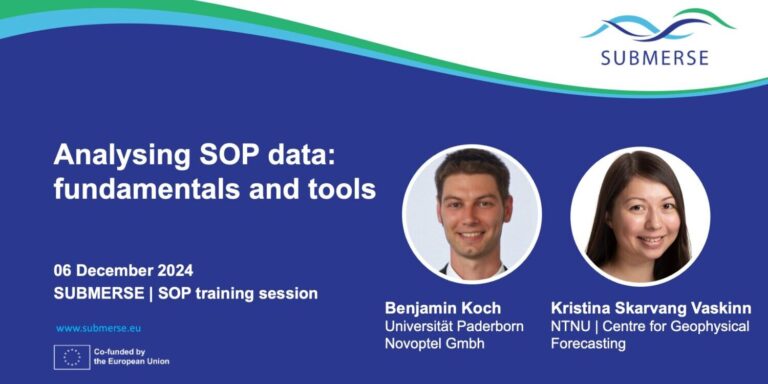 Introduction to State of Polarization analysis for seismic events monitoring